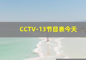 CCTV-13节目表今天