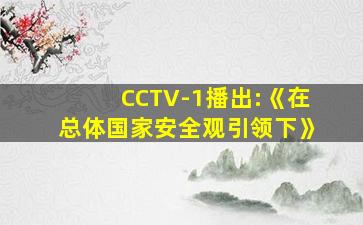 CCTV-1播出:《在总体国家安全观引领下》