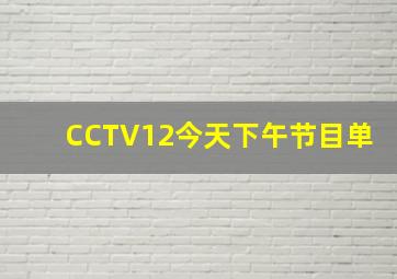 CCTV12今天下午节目单