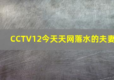 CCTV12今天天网落水的夫妻