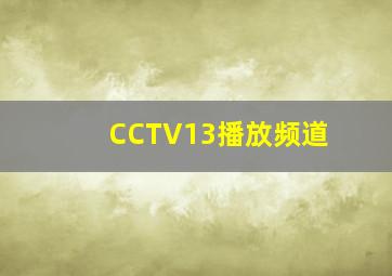 CCTV13播放频道