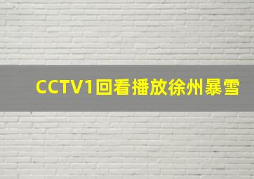 CCTV1回看播放徐州暴雪