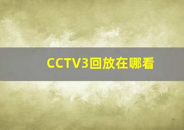 CCTV3回放在哪看