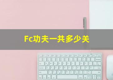 Fc功夫一共多少关