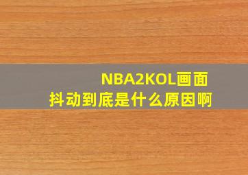 NBA2KOL画面抖动到底是什么原因啊