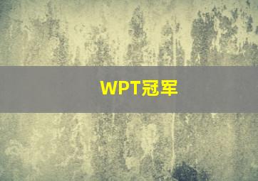 WPT冠军