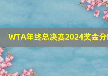 WTA年终总决赛2024奖金分配