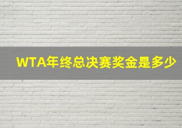 WTA年终总决赛奖金是多少