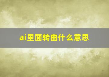 ai里面转曲什么意思