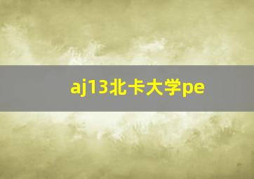 aj13北卡大学pe