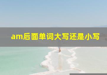 am后面单词大写还是小写