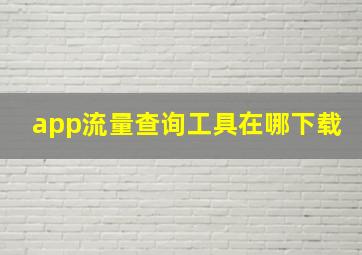 app流量查询工具在哪下载