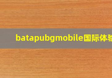 batapubgmobile国际体验服