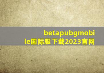 betapubgmobile国际服下载2023官网