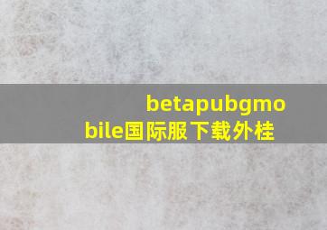 betapubgmobile国际服下载外桂