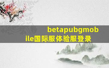 betapubgmobile国际服体验服登录