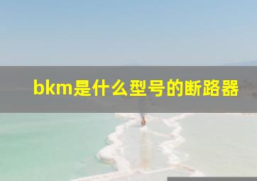 bkm是什么型号的断路器