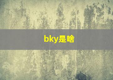 bky是啥