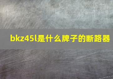 bkz45l是什么牌子的断路器