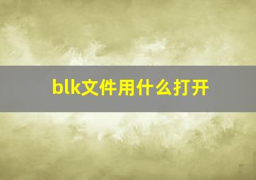 blk文件用什么打开