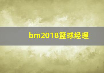 bm2018篮球经理