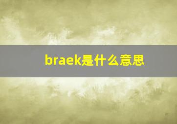 braek是什么意思