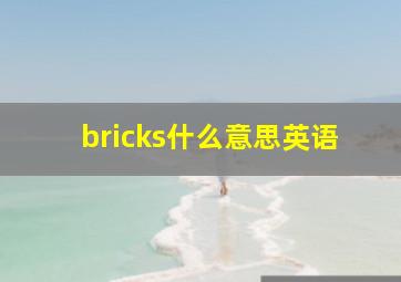 bricks什么意思英语