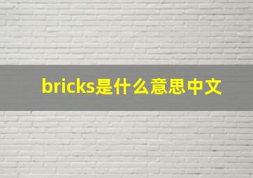 bricks是什么意思中文