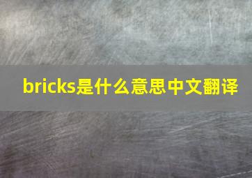 bricks是什么意思中文翻译