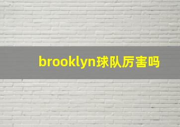 brooklyn球队厉害吗