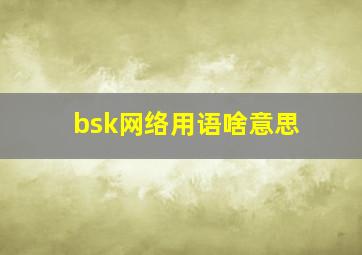 bsk网络用语啥意思