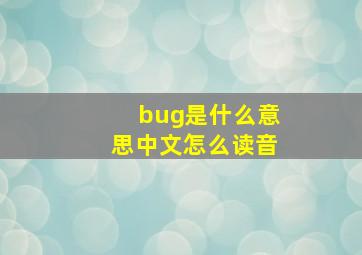 bug是什么意思中文怎么读音