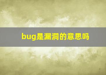 bug是漏洞的意思吗