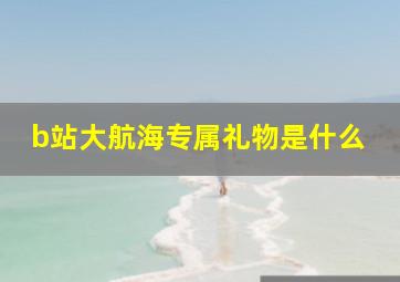 b站大航海专属礼物是什么