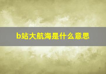 b站大航海是什么意思