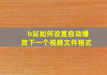 b站如何设置自动播放下一个视频文件格式