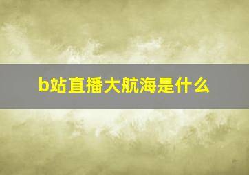 b站直播大航海是什么