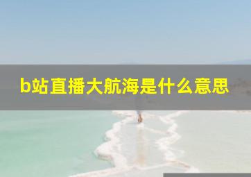 b站直播大航海是什么意思