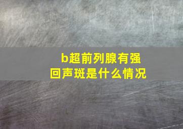 b超前列腺有强回声斑是什么情况