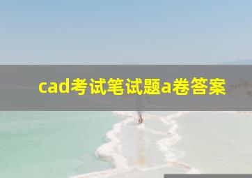 cad考试笔试题a卷答案