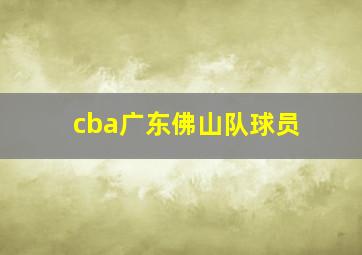 cba广东佛山队球员