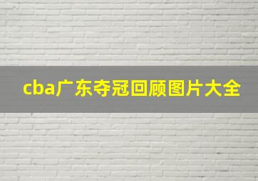 cba广东夺冠回顾图片大全