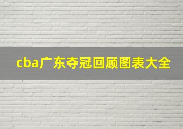 cba广东夺冠回顾图表大全