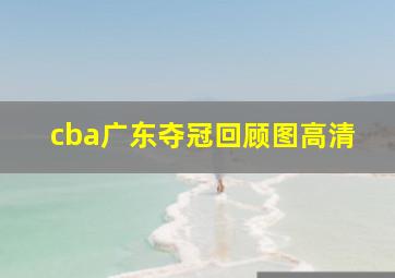 cba广东夺冠回顾图高清