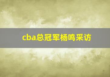 cba总冠军杨鸣采访