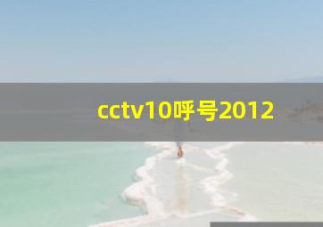 cctv10呼号2012