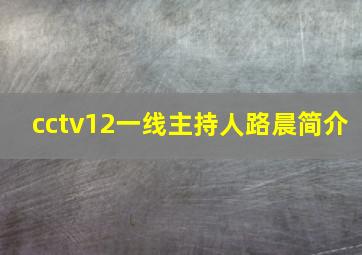 cctv12一线主持人路晨简介