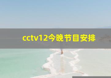 cctv12今晚节目安排