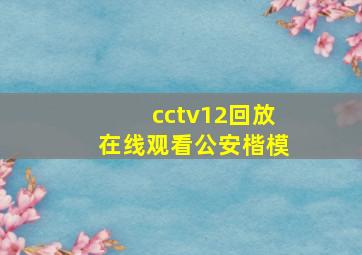 cctv12回放在线观看公安楷模