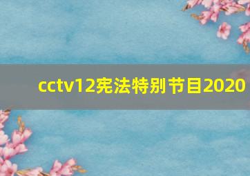 cctv12宪法特别节目2020